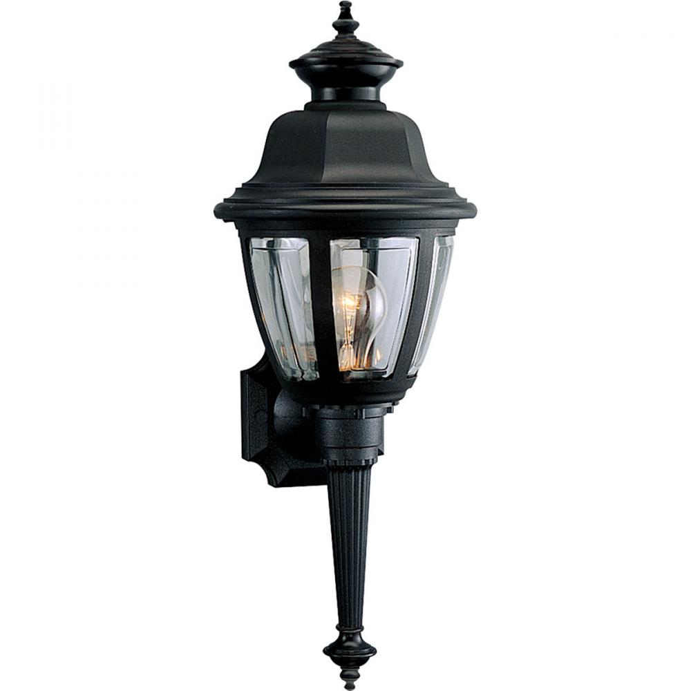 Non-Metallic Incandescent One-Light Wall Lantern