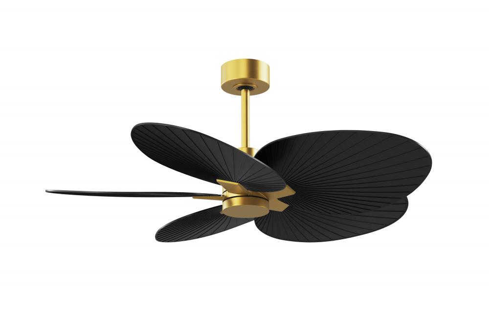 Alessandra Tropical 5-blade ceiling fan in Brushed Brass and Matte Black blades.