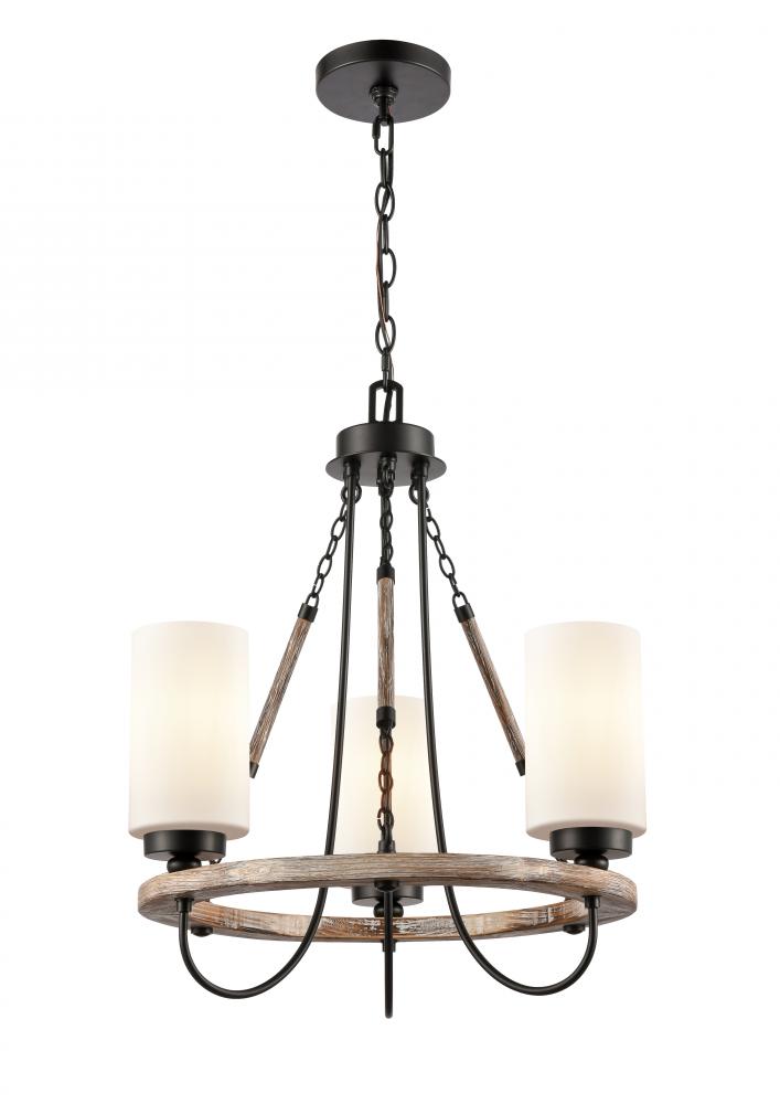 Paladin - 3 Light - 19 inch - Matte Black - Chain Hung - Mini Chandelier