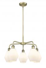 Innovations Lighting 516-5CR-AB-G651-6 - Cindyrella - 5 Light - 24 inch - Antique Brass - Chandelier