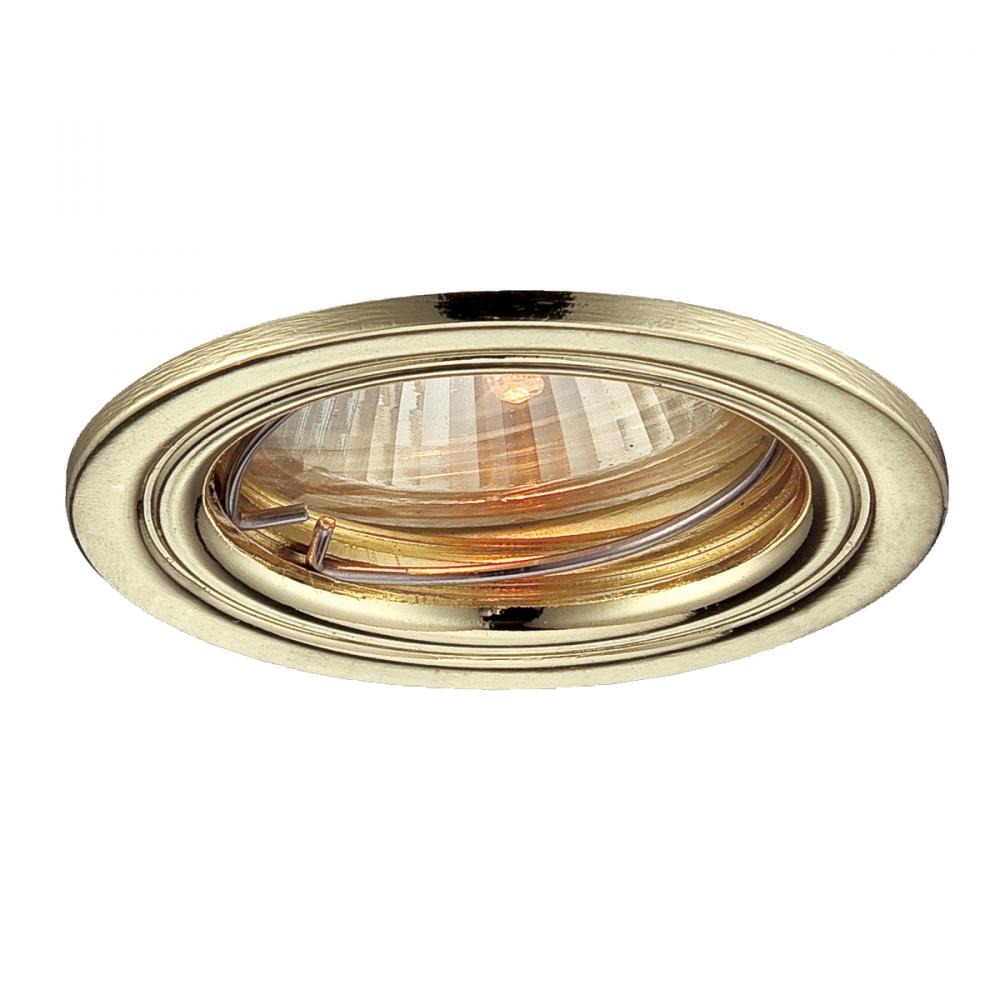 MINILITE,DOWNLIGHT,MR11,GOLD