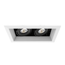 Eurofase TE162LED-35-4-02 - MuLT, 15w, Trm, 2LT , 35k, Wht/blk