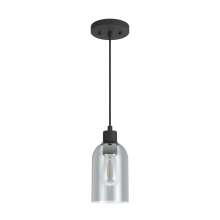 Hunter 19201 - Hunter Lochemeade Natural Black Iron with Smoked Glass 1 Light Pendant Ceiling Light Fixture