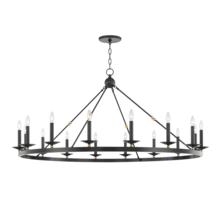 Hudson Valley 3216-AOB - 16 LIGHT CHANDELIER