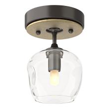  121372-SKT-14-86-ZM0709 - Ume 1-Light Semi-Flush