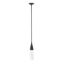 Hubbardton Forge 188900-SKT-MULT-14-ZM0617 - Fritz Mini Pendant