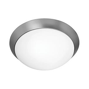 Two Light Bs  Opl  Glass Bowl Flush Mount