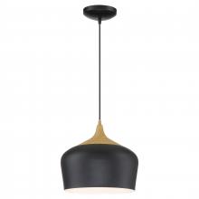 Access 52057-BL/WGN - Pendant